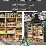 Aqua Dom Caloroczny Do 10 Osob Villa *
